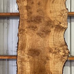 (4) Beautiful Big Myrtlewood Live Edge Slabs!!! 9 Ft Long