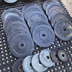Weights With Barbell And Dumbbell Handles 