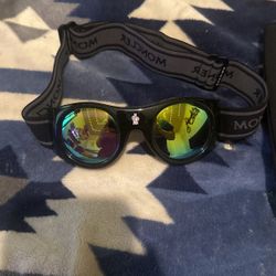 Sunglasses 