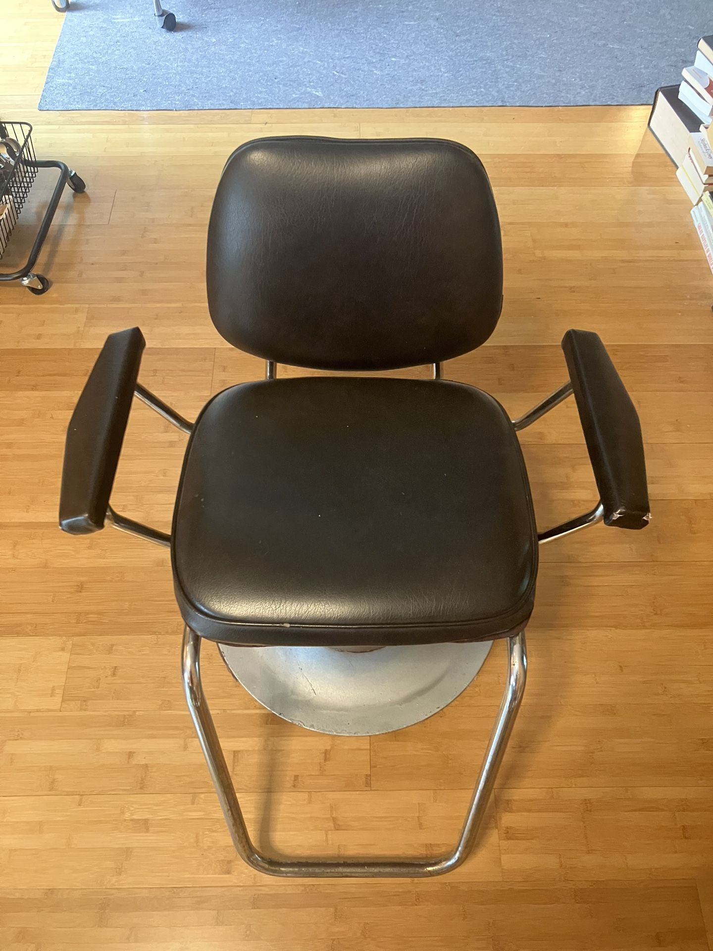 Salon Chair
