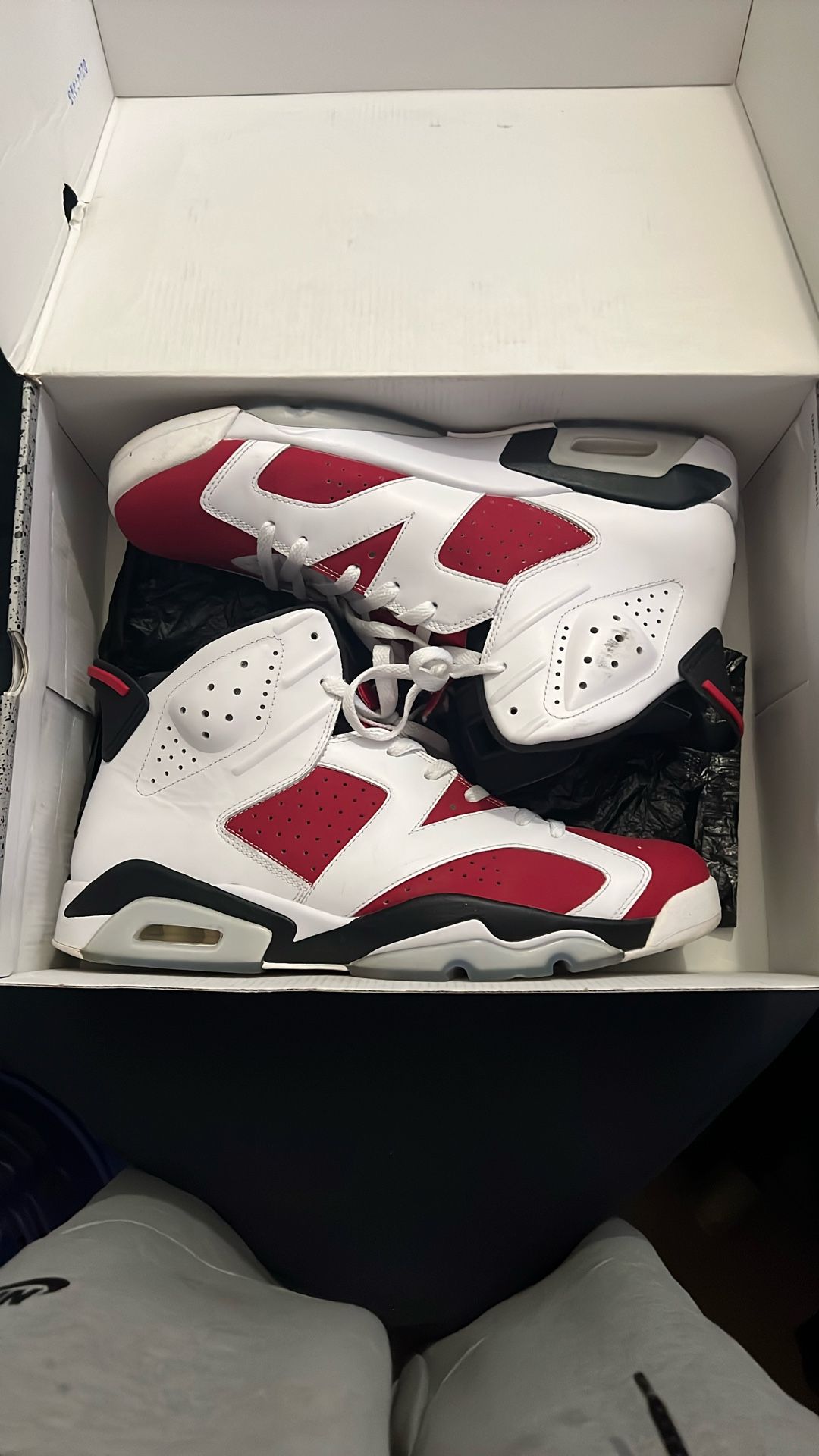 Air Jordan 6 Carmine (2014) Size 13.5