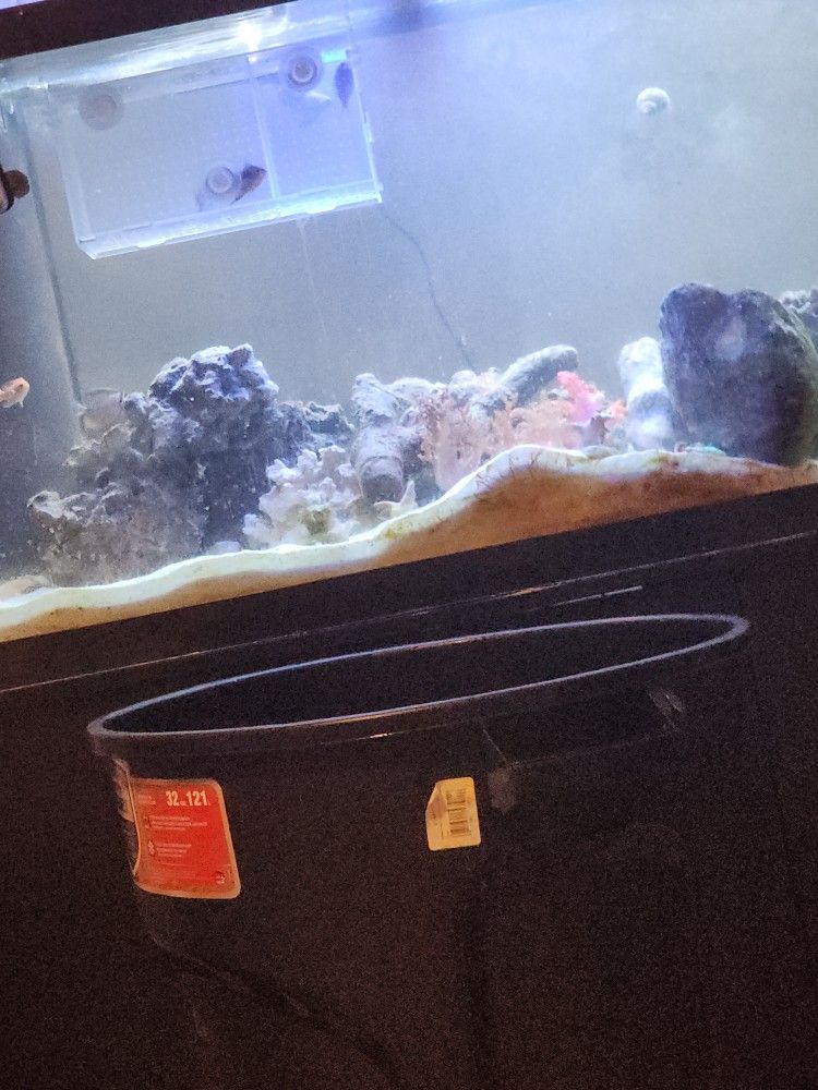 90 Gallon Fish Tank