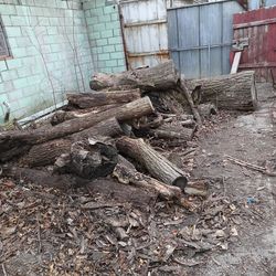 Free wood... BRING CHAINSAW