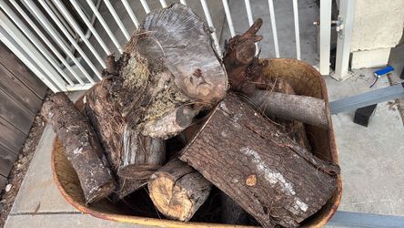 Firewood - all sizes - Free