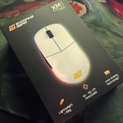 Endgame Gaming mouse 