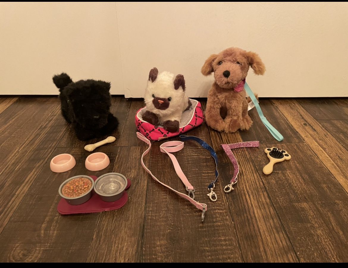 American Girl Doll/Our Generation Pet set