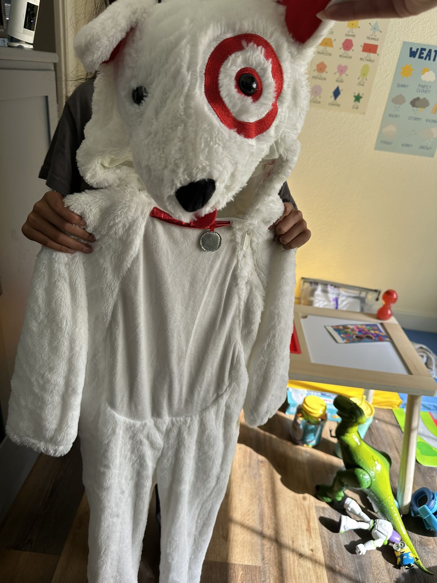Halloween Costume.