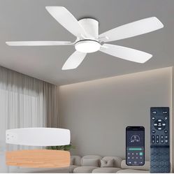 Ceiling Fans with Lights, 52 inch Low Profile 