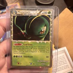 MEGANIUM 109/123