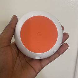 Alexa Speaker