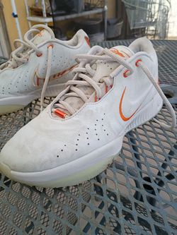 Nike LeBron 21