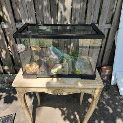 10 Gallon Tank