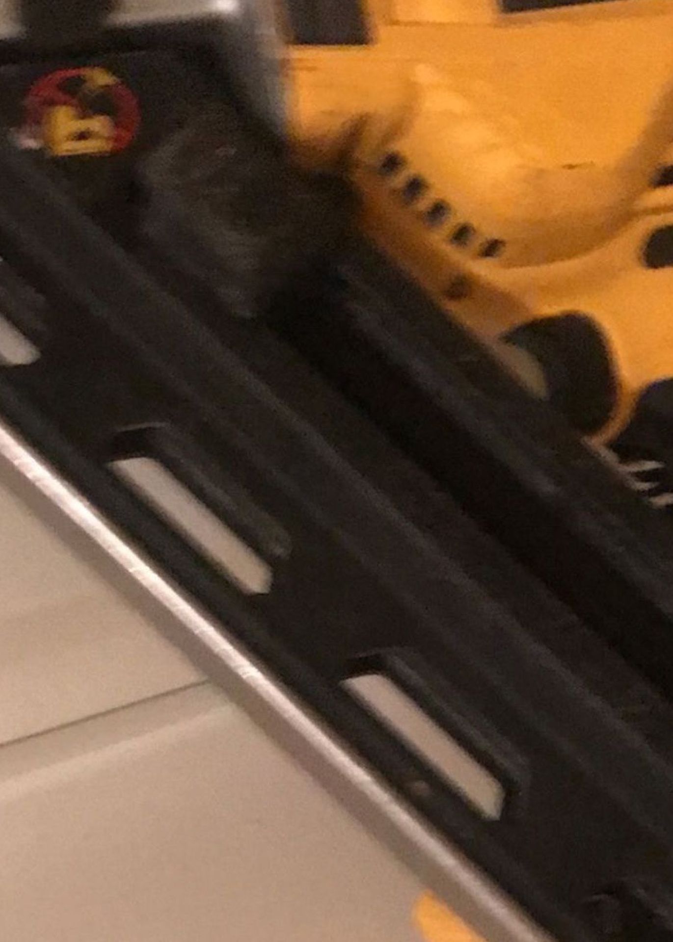 Framing Gum
