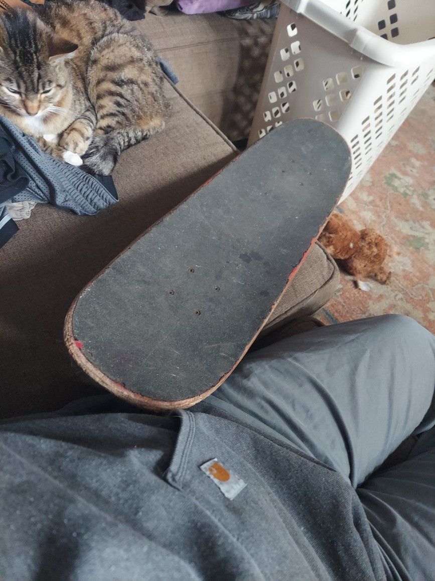 Skateboard With Independent Trucks