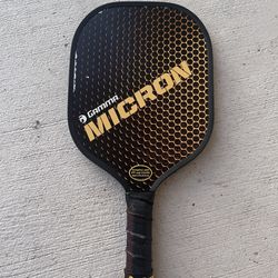 Pickle Ball Paddle