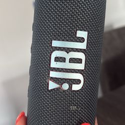 JBL Flip 6