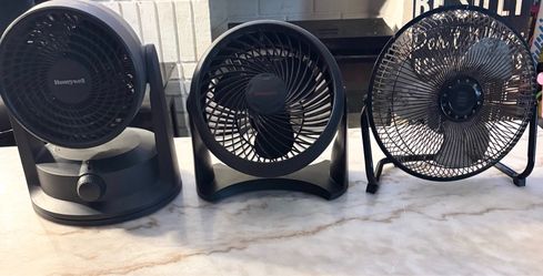 Fans
