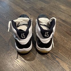 Jordan 11 ‘CONCORDS’ Size 11