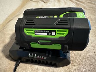 EGO battery and Charger