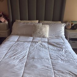 Queen Mint Color Bed frame For Sale!! 