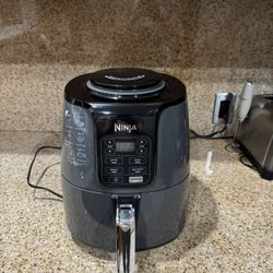 Ninja 4-quart air fryer. 