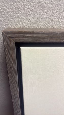 Restoration Hardware Zebra Print in frame