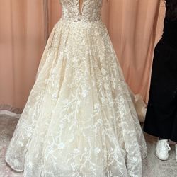 Unused Wedding Dress