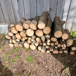 Free firewood
