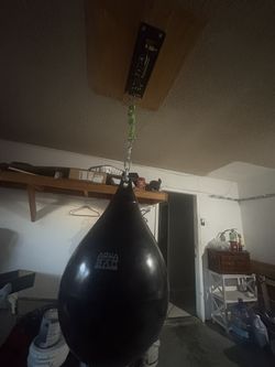 Aqua Punching Bag + Ceiling Mount