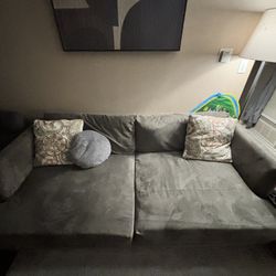 Living spaces gray couch 