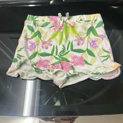 Girls Shorts Size 5T