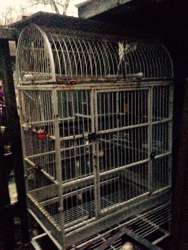Very large iron bird cage. 200$