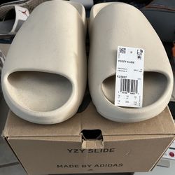 Yeezy Slide bone Size 14