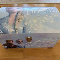 Frozen Storage Box