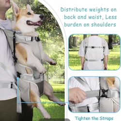 Pet Carrier 