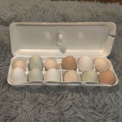 Farm Fresh Eggs