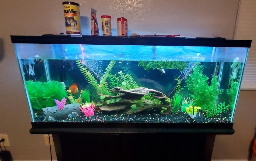 50 gallon aquarium with Fluval Filter, Bubbles, Decors, Heater .....NO Livestock