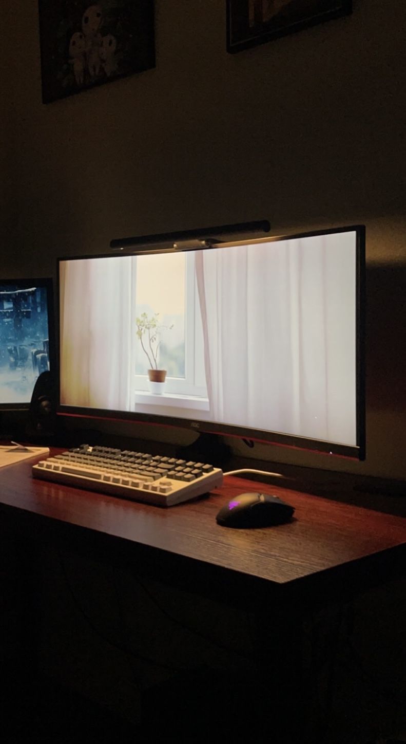 AOC Ultrawide Monitor