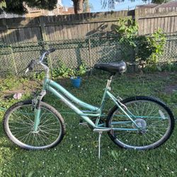 Schwinn Bike