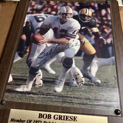 Bob Griese Hall Of Fame Plaque