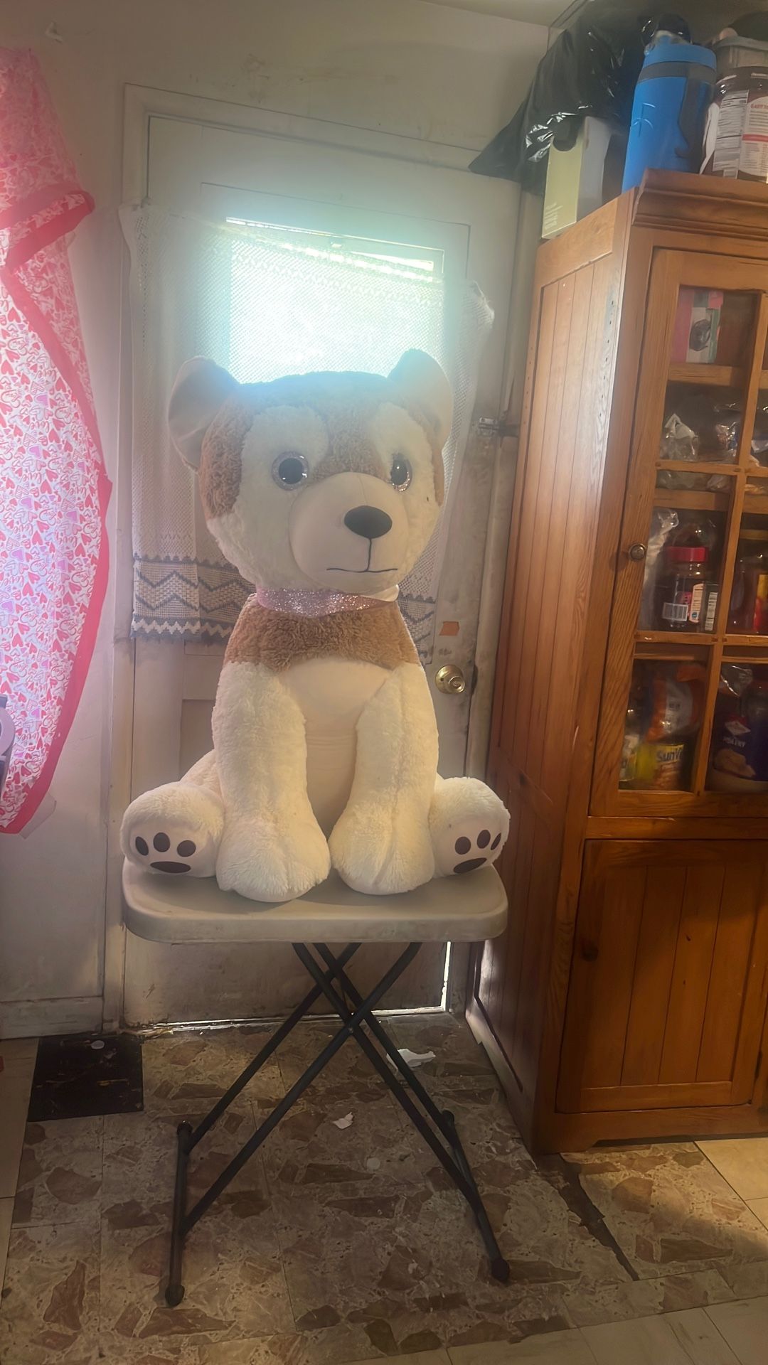 Big Dog