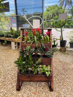 Modern herbs Vertical Garden.