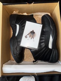 Jordan 12 “The Masters”