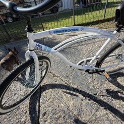 Cruiser Bike