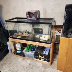 75 Gallon With Wood Diy Stand 