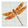 Orangedragonfly 2004