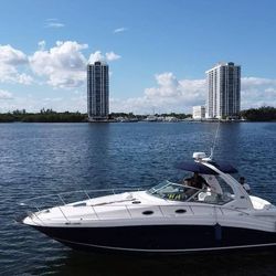 SeaRay 340 Sundancer