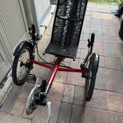 Shimano Elect Assist Trike