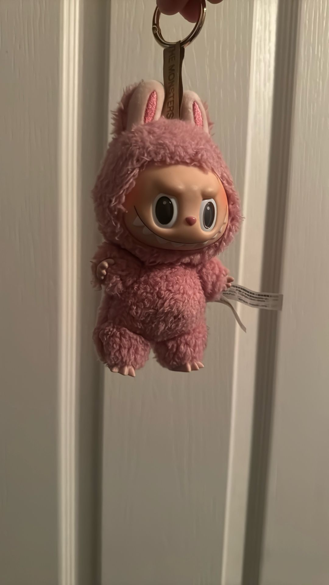 Used Lychee Berry Labubu