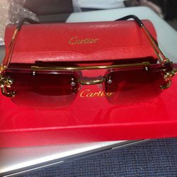 Men Cartier sunglasses